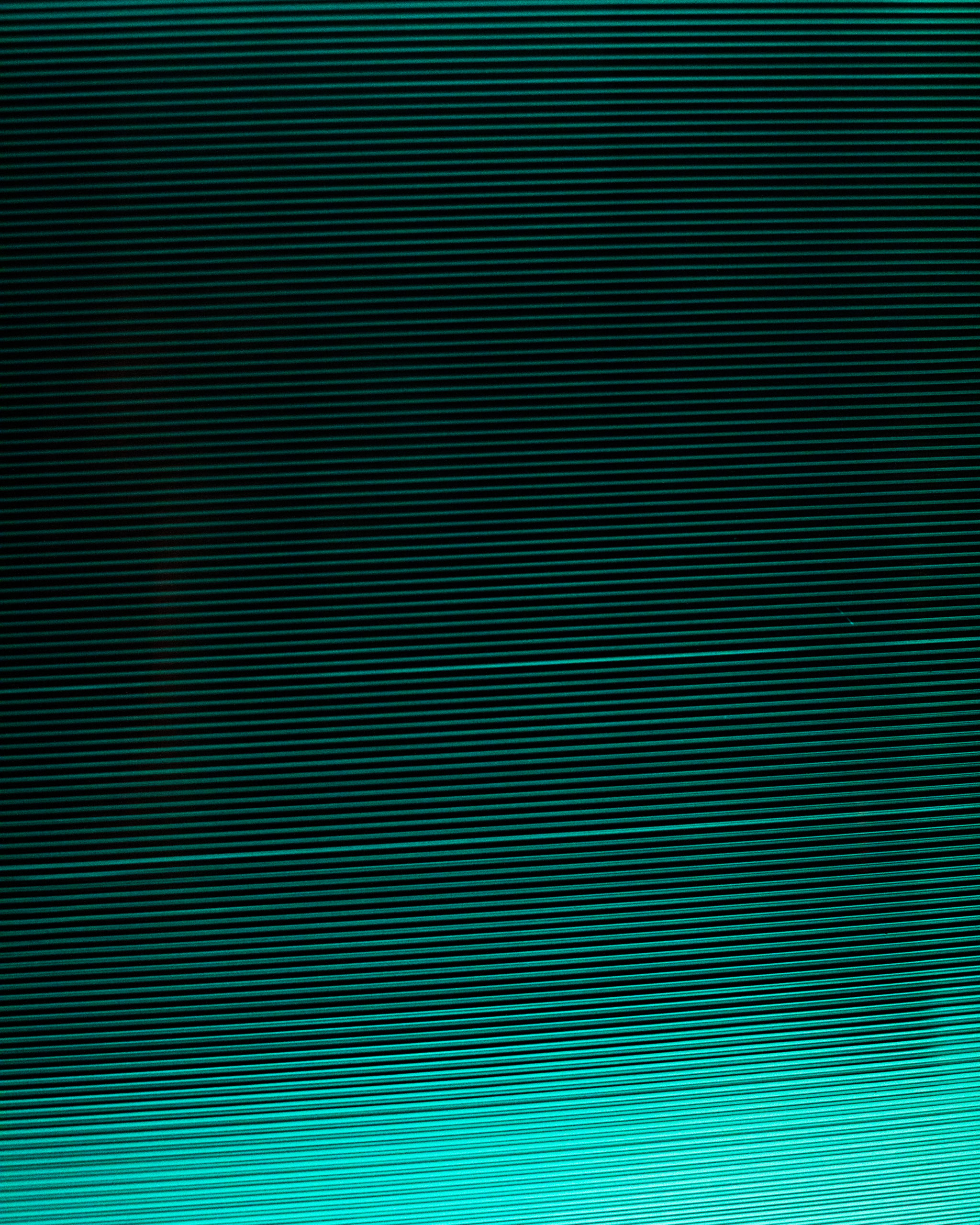 Photo_tease_4